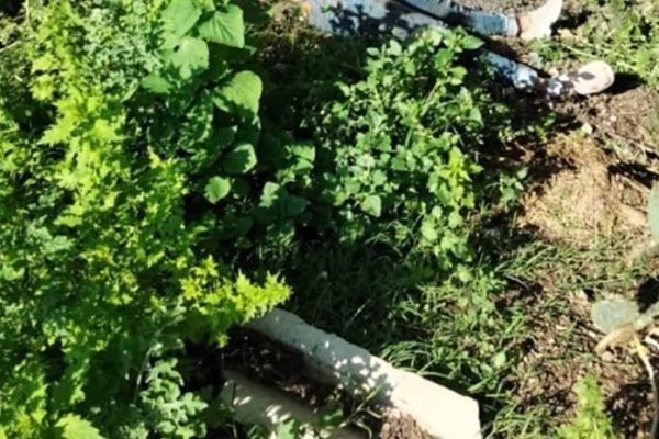 Asesinan a Adeline, niña de 12 años que era contactada por un adulto, en Edomex