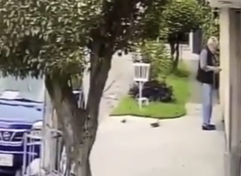 Asaltan a adulto mayor afuera de su casa #VIDEO