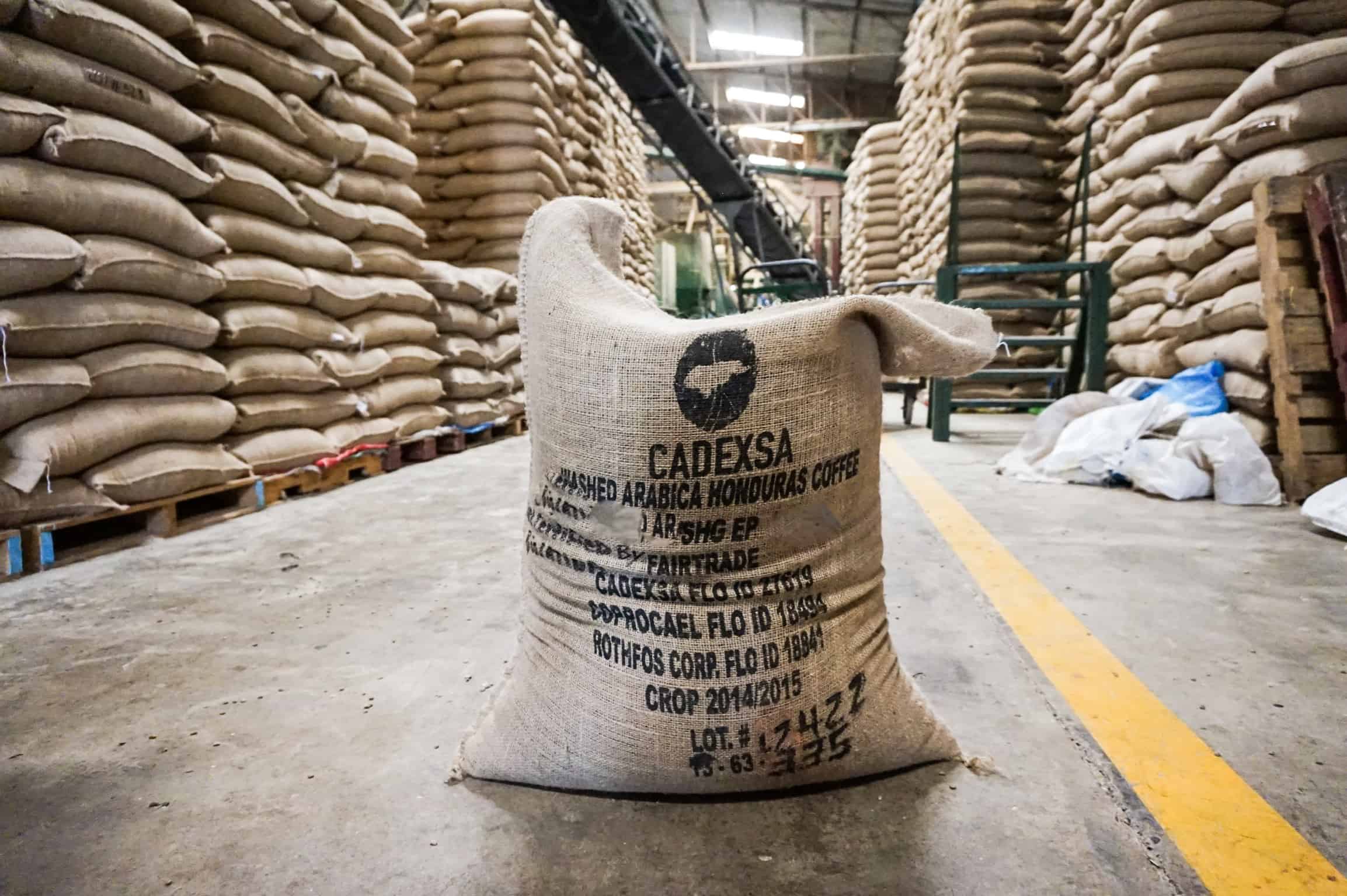 Exportaciones de café mexicano aumentaron 28.2%