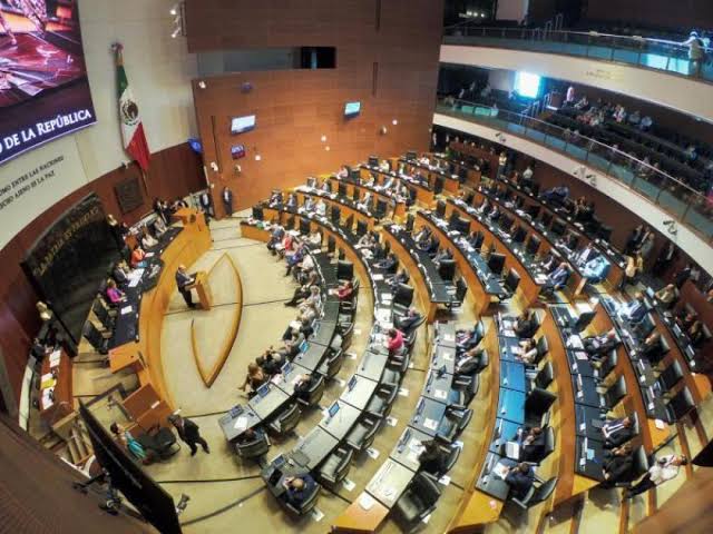 Médicos piden a senadores asignar propuesto para pacientes con dolor crónico