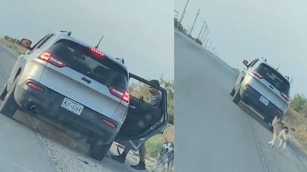 Arrestan a un hombre por abandonar a su perro en la carretera de Texas