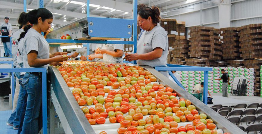 Superávit en balanza comercial agroalimentaria de México de enero a mayo de 2021