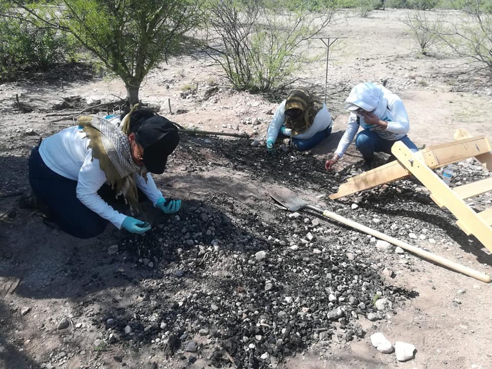 En cuatro estados del país hallan campos de exterminio pertenecientes al narco