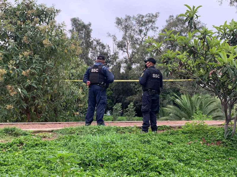 Hallan cuerpo colgando de árbol en Coyoacán