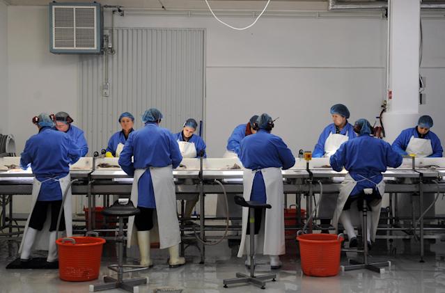 Islandia experimenta semana laboral de cuatro días y tiene éxito