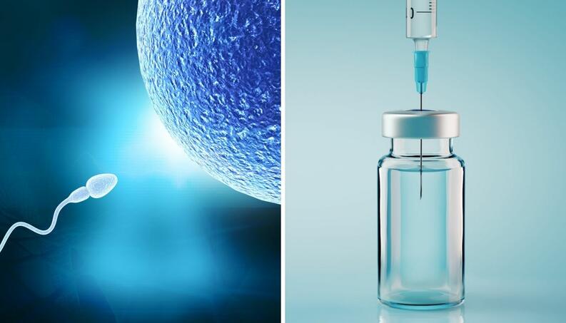 Así funciona Vasalgel, la vacuna anticonceptiva para hombres