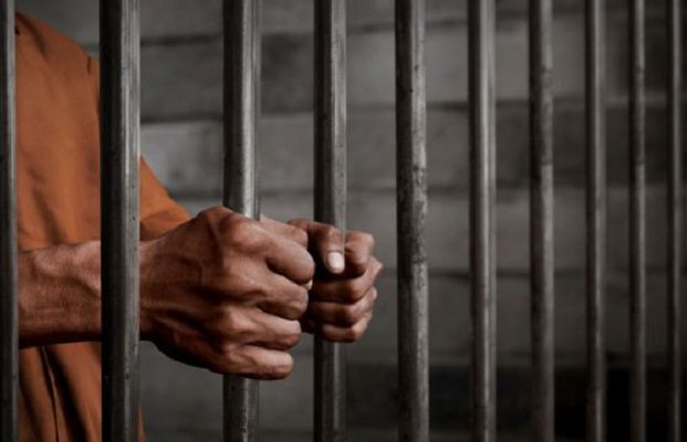 Gobernadores de Morena se suman decreto de AMLO para liberar a presos
