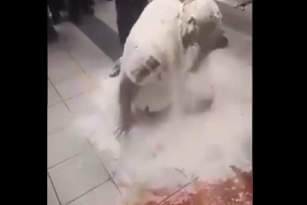 Policía de Chihuahua es convertido en “hombre pizza” por sus compañeros #VIDEO