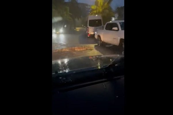 Captan en #VIDEO a cocodrilo nadando en calle de Puerto Vallarta