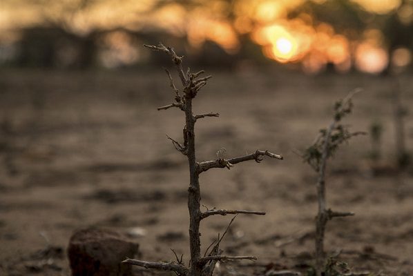 Reporte para la ONU advierte efectos irreversibles del cambio climático