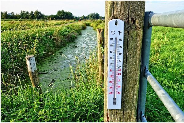 Se teme récords de calor en Europa, incluso de hasta 50º