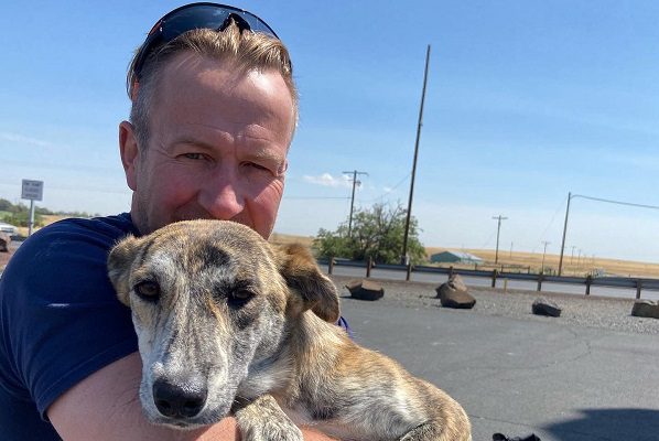 Exsoldado evacuará a 200 perros y gatos de Afganistán