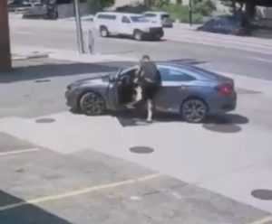 Ladrón intenta robar vehículo a peleador de UFC y es detenido a rodillazos  #VIDEO