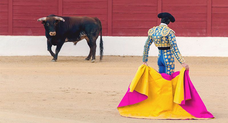Cancelan feria taurina por nombrar “feminista” y “Nigeriano” a dos toros
