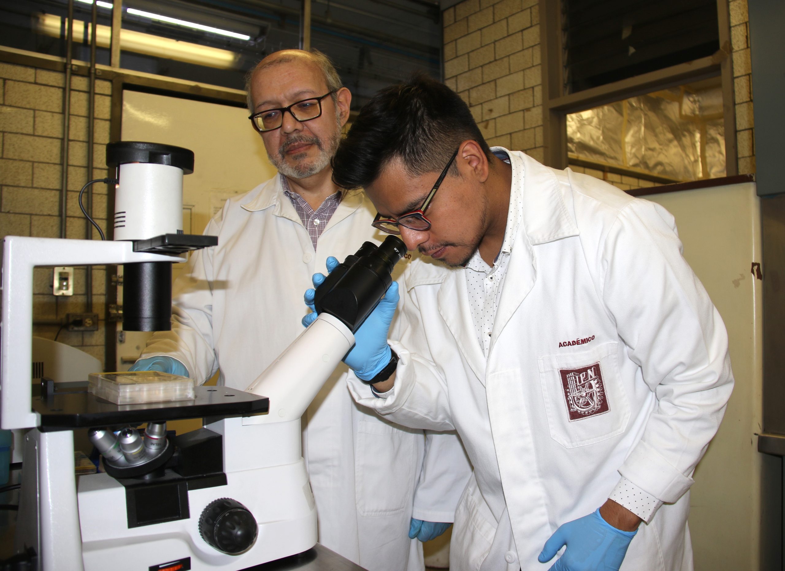 IPN descubre biomarcador para posible detección temprana de cáncer de mama