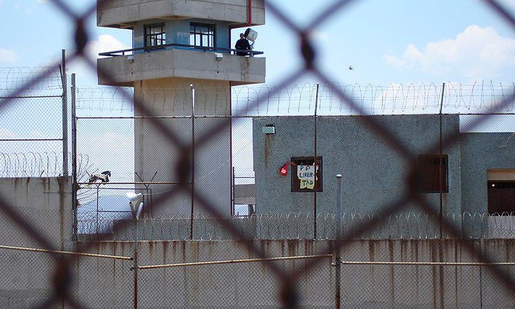 “Hay 49 presos en CDMX cuya tortura ha sido acreditada”: CDHCM