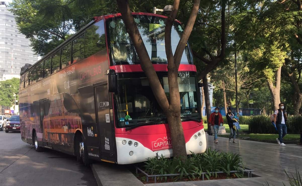 Choca autobús turístico contra árbol en la Alameda Central #VIDEO