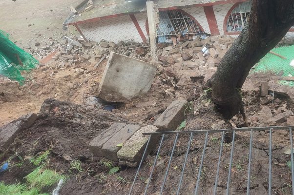 Deslizamiento de tierra sepulta albergue para perritos, en Xochimilco