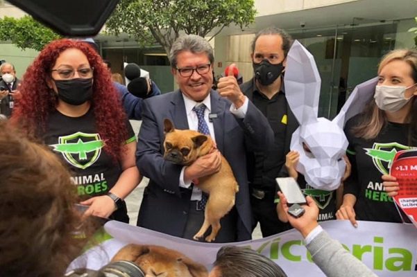 Esto establece la prohibición de pruebas de cosméticos en animales en México