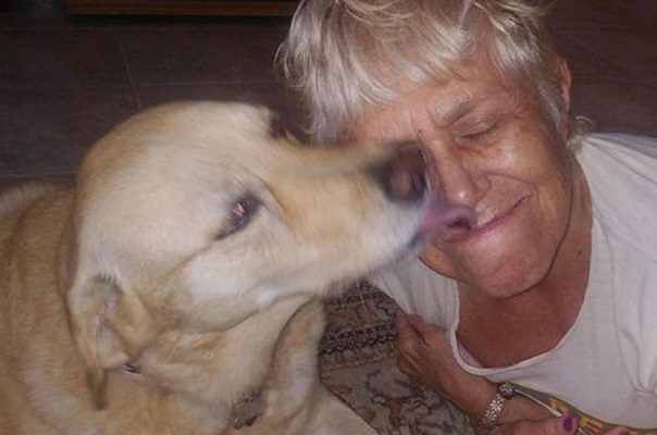 Abuelita se lanza sobre caimán para salvar a su perro, en Florida