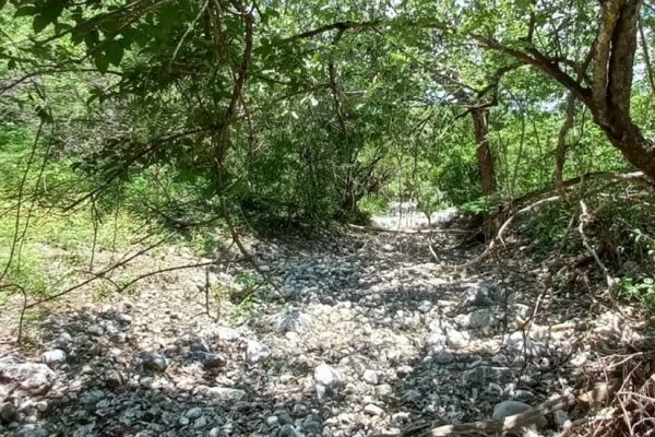 Autoridades señalan nueva línea de investigación en Caso Ayotzinapa