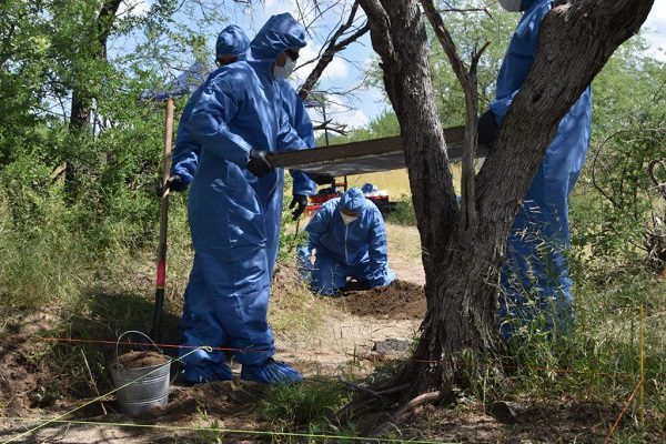 Identifican restos de 5 de 10 yaquis desaparecidos en Loma Bácum, Sonora