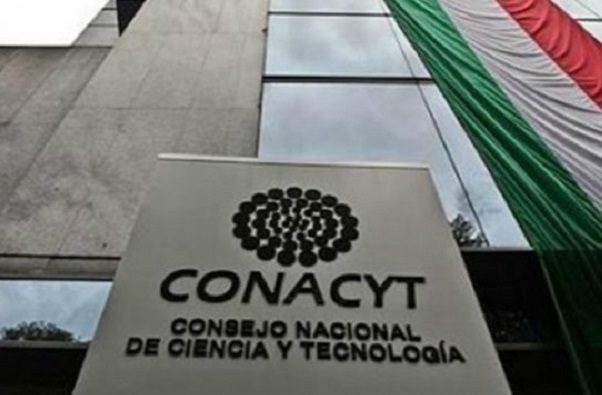 31 académicos actuaron bajo la ley, apunta resolución contra órdenes de aprehensión