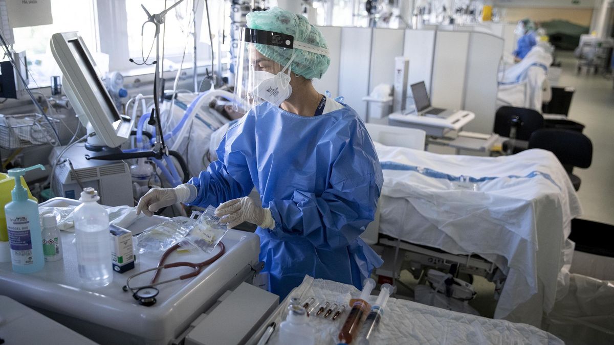 EXO-CD24 el medicamento que podría curar COVID-19 grave