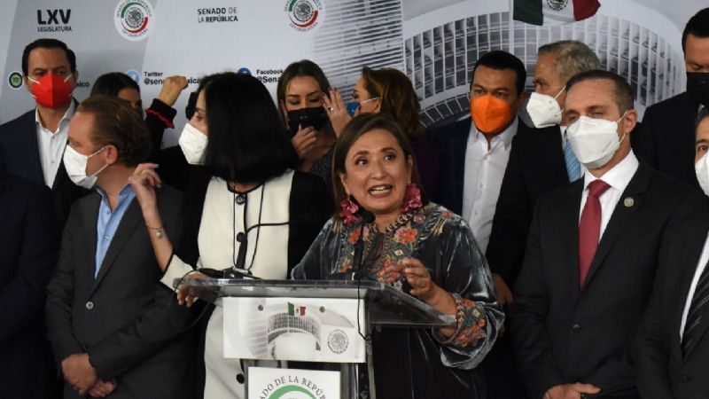 “Es un pendejo” Xóchitl Gálvez a Gatell por criticar amparos a menores #VIDEO