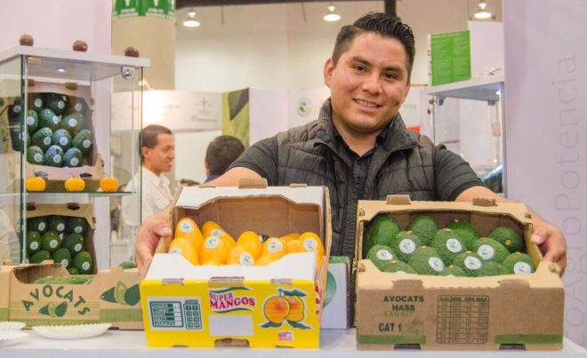 Carnes y aguacate, principales exportaciones de México a Japón