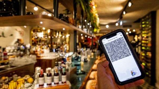 Secretaria de estado de Países Bajos es destituida por cuestionar el pase covid