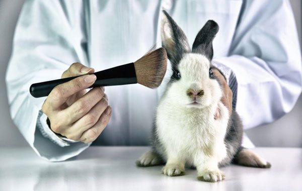 Piden en Senado prohibir experimentos en animales para cosméticos