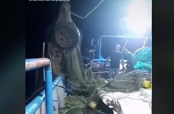 Barco camaronero pesca camioneta en aguas de Sinaloa #VIDEOS