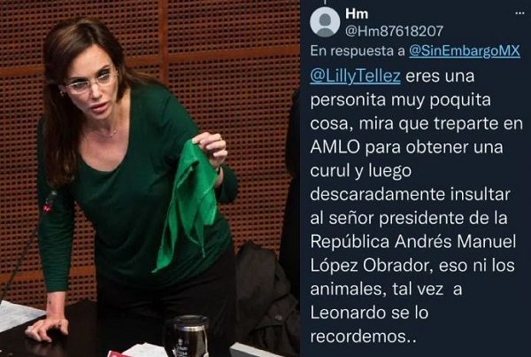 Lilly Téllez denuncia amenazas contra su hijo por llamar a "hacerle frente" a AMLO