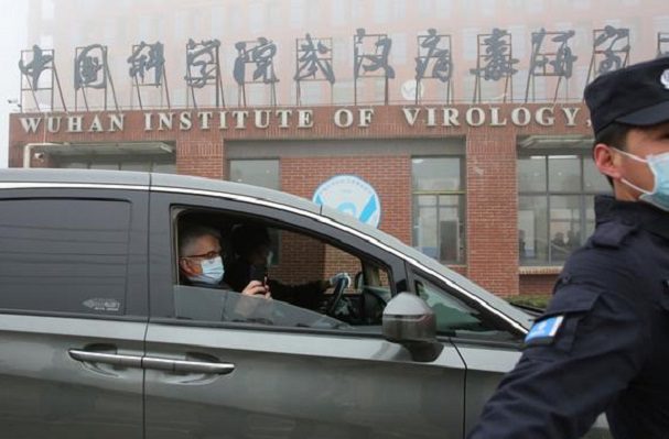 OMS forma nuevo comité expertos para investigar origen del Covid-19