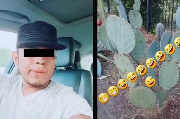 Tiktoker guatemalteco dice que mexicanos “parecen puercos” por comer nopales