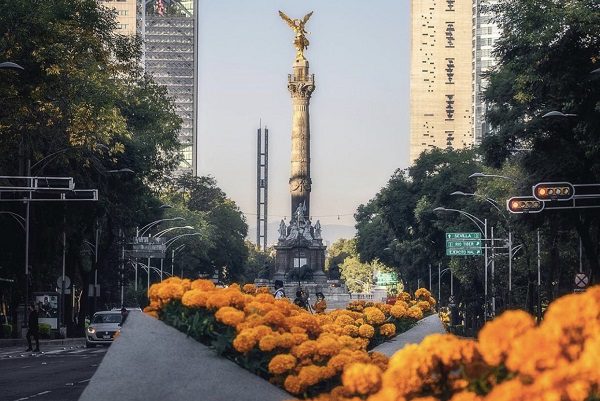Paseo de la Reforma se pinta de naranja con de flores de cempasúchil