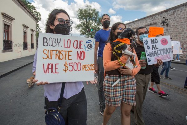 Así marcharon en Tangamandapio por Boby, perrito arrastrado hasta morir