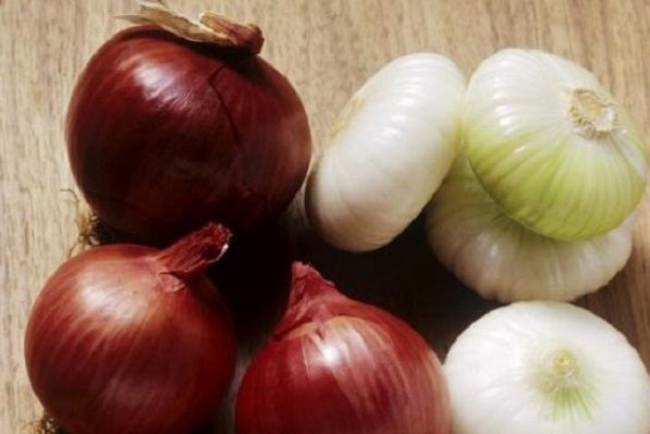 Reportan brote de salmonelosis en EE.UU. vinculado a cebollas de Chihuahua