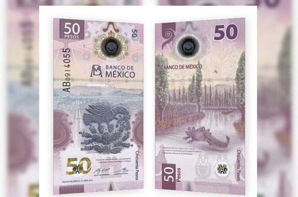 Banxico pone en circulación el nuevo billete de 50 pesos