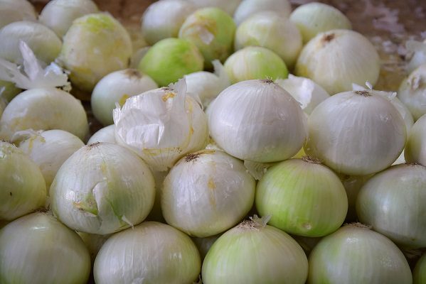 México ya investiga brote de salmonela en EE.UU. y Canadá por cebollas