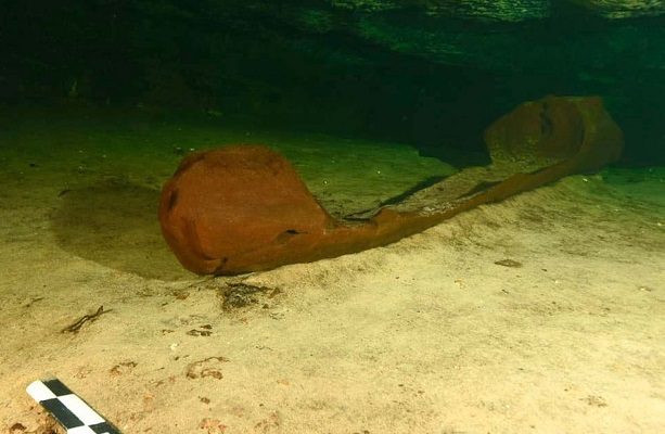 Encuentran canoa maya en obras del tramo 4 del Tren Maya