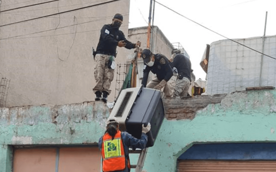 14 perritos son rescatados tras operativo en colonia Obrera
