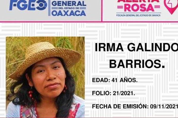 Alertan desaparición de defensora mixteca del bosque en Oaxaca