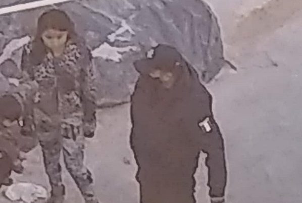 Policía disparó a perrita mientras amamantaba a cachorros, en Neza