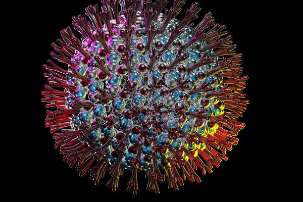 Japón detecta el primer caso de variante Ómicron en su territorio