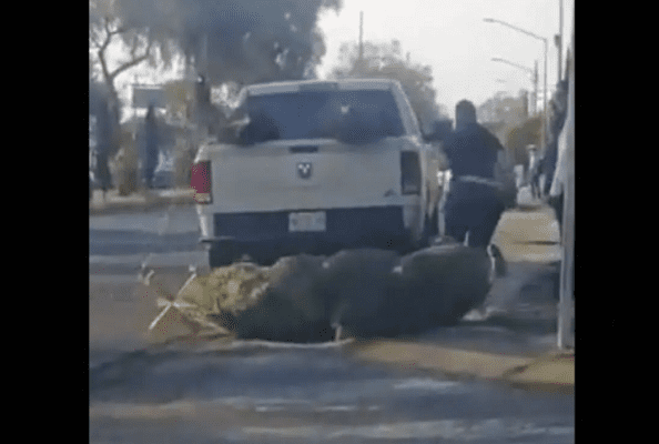 Se roban camioneta con todo y arbolitos de Navidad, en Naucalpan #VIDEO