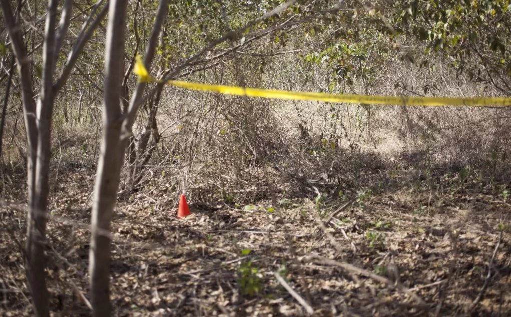 Fosas clandestinas en Sonora