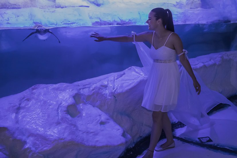 “Noches de Leyenda”, amplía temporada en el Acuario Inbursa