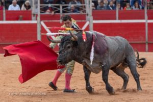Se anuncia la temporada de toros del Aniversario de Feria en Puebla